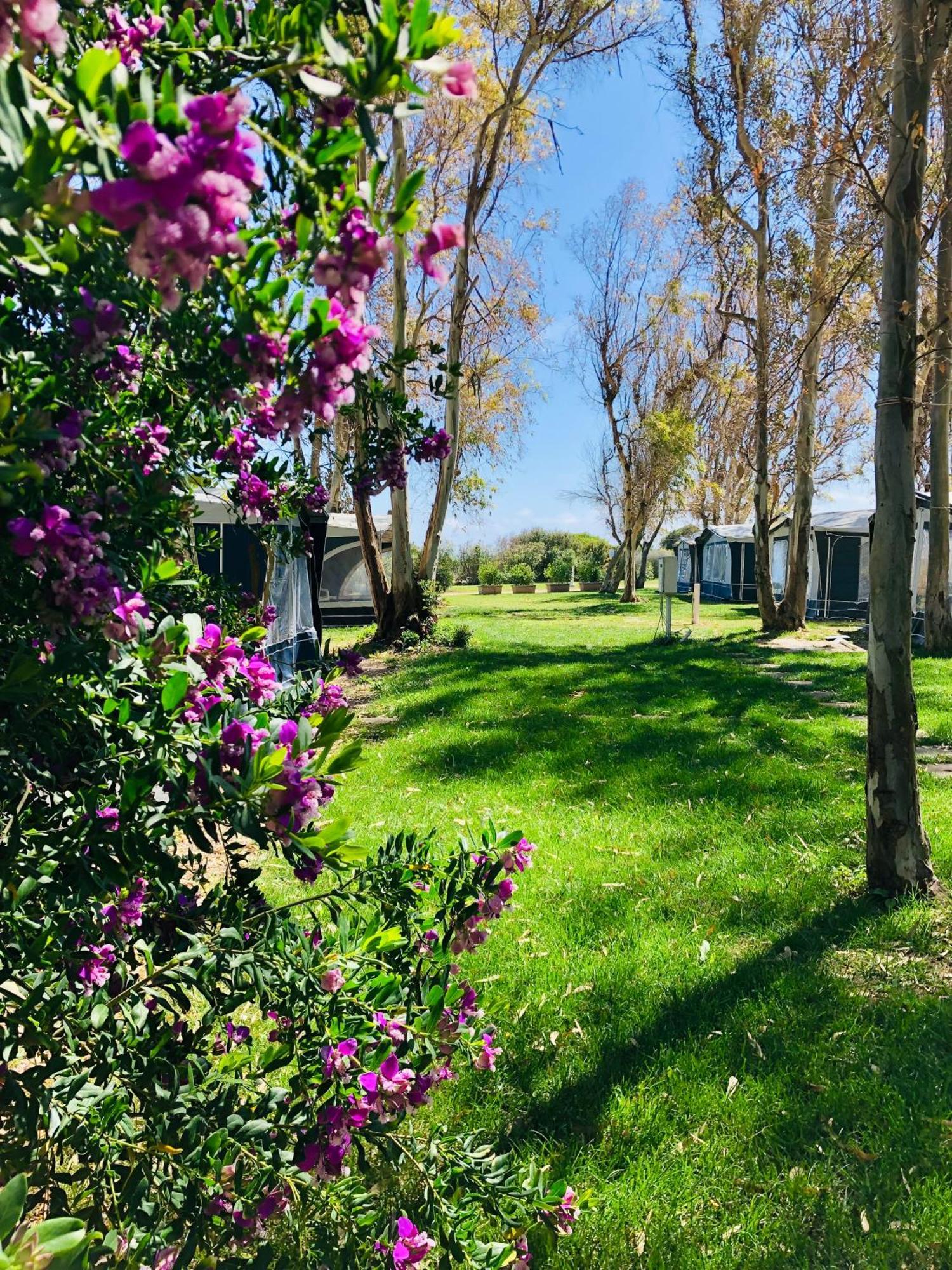 Camping Cala D'Ostia Пула Екстериор снимка