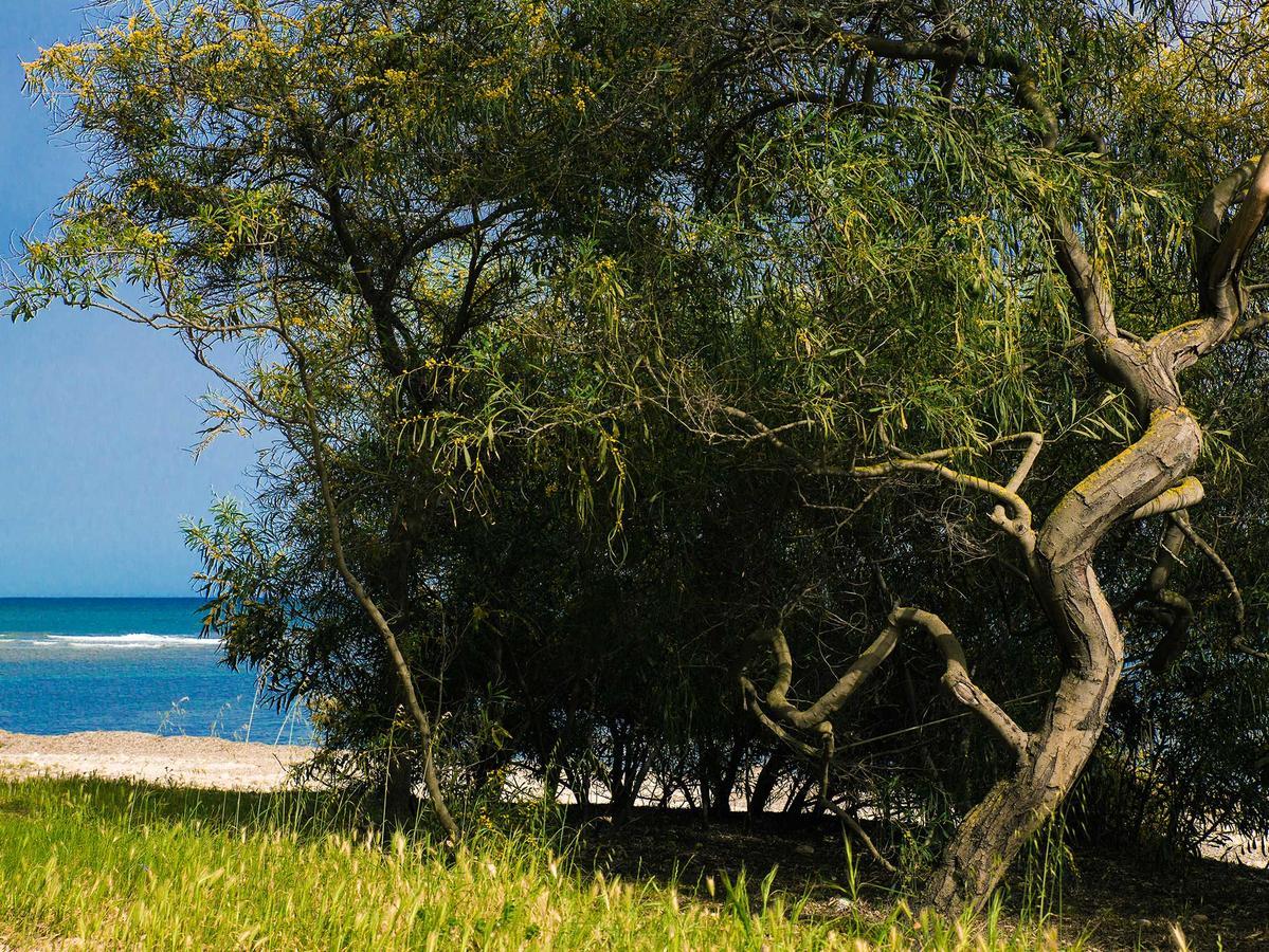 Camping Cala D'Ostia Пула Екстериор снимка